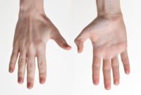 Main — Wikipédia Main — Wikipédia